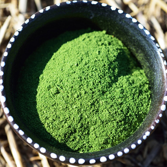 Moringa Powder